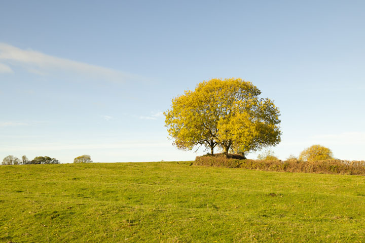 Visible light photo taken with Canon RF 35mm f/1.8 lens
