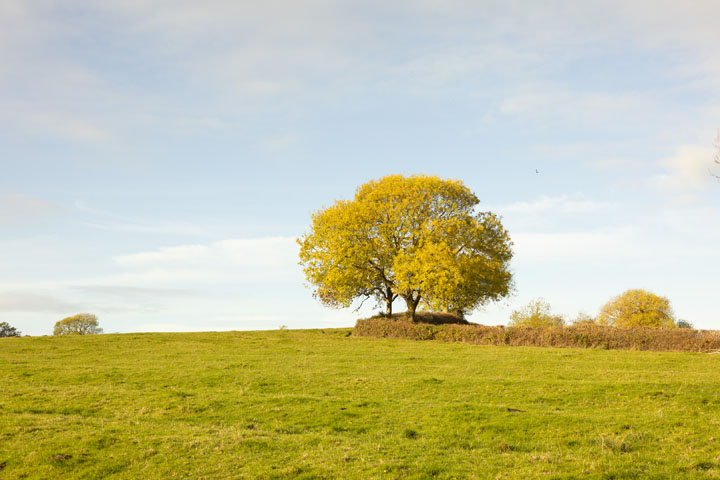 Visible light photo taken with Canon RF 50mm f/1.8 lens