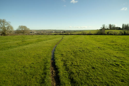 EF-S 10-18mm converted to EF mount on full frame camera with Laowa Magic Shift Converter at 14mm