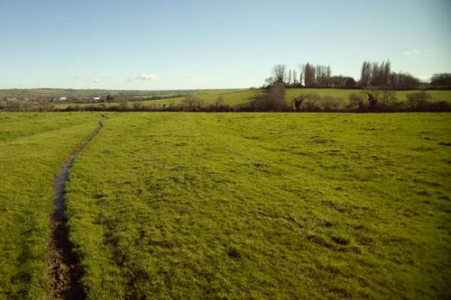 EF-S 10-18mm lens at 18mm on Laowa MSC with max shift