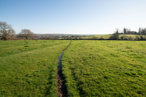 EF-S 10-18mm converted to EF mount on full frame camera with Kenko C-AF 1.4x DGX Teleconverter at 14mm