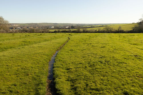 EF-S 10-22mm shot in APS-C mode in camera with automatic lens profile corrections applied