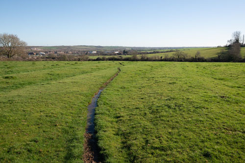 EF-S 10-22mm converted to EF mount on full frame camera at 19mm then manually cropped to APS-C in post