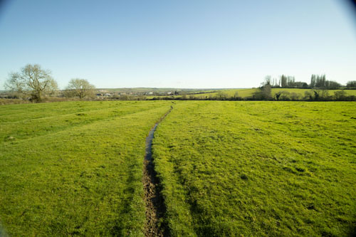 EF-S 10-22mm converted to EF mount on full frame camera with Laowa Magic Shift Converter at 12mm