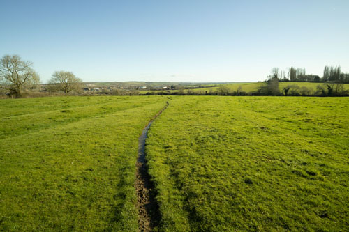 EF-S 10-22mm converted to EF mount on full frame camera with Laowa Magic Shift Converter at 14mm