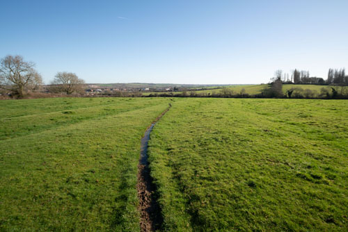 EF-S 10-22mm converted to EF mount on full frame camera with Kenko C-AF 1.4x DGX Teleconverter at 14mm