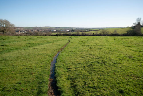 EF-S 10-22mm converted to EF mount on full frame camera with Kenko C-AF 1.4x DGX Teleconverter at 22mm