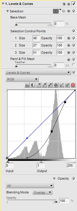 Curves edit in Capture NX 2