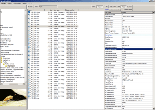 Using ExiftoolGUI to look up the MacroMagnification for an image shot with the MP-E 65mm lens