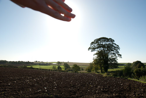 Photo with hand covering the sun to prevent lens flare