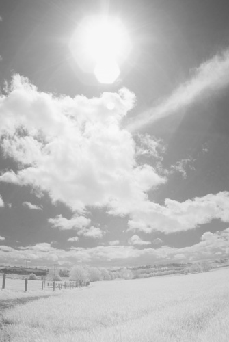 Photo taken with Tokina 10-17mm fisheye lens on Fuji IS Pro with rear mounted Lee Infrared polyester filter