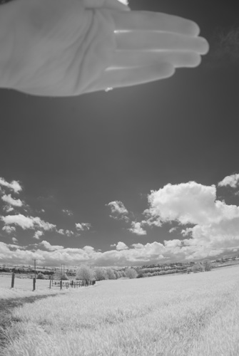 Photo taken with Tokina 10-17mm fisheye lens on Fuji IS Pro with front mounted (Cokin P) Hitech Infrared resin filter and hand held in front of the sun to reduce flare