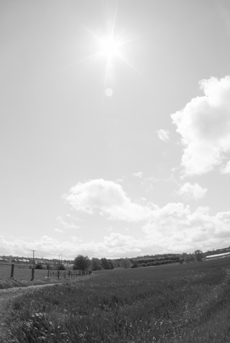 Photo taken with Tokina 10-17mm fisheye lens on Fuji IS Pro with B+W 486 UVIR cut filter held in front of the lens