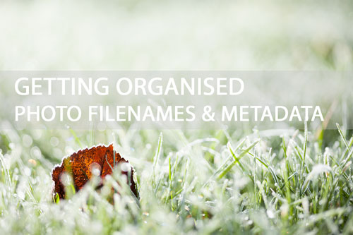 Getting organised - Photo filenames & Metadata