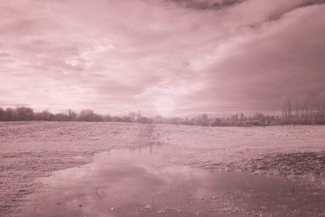 Photo taken with a full spectrum converted Fujifilm X-M1 camera and Lee 730nm infrared polyester filter held in front of the lens