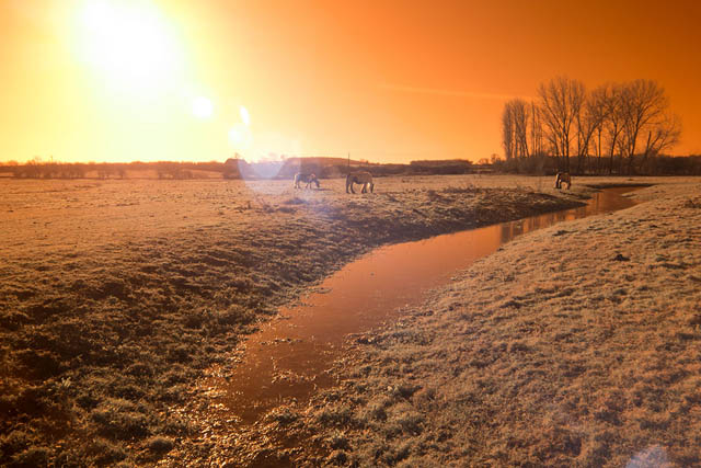 Photo showing lens flare when shooting into the sun with Lee Tricolour Red polyester filter