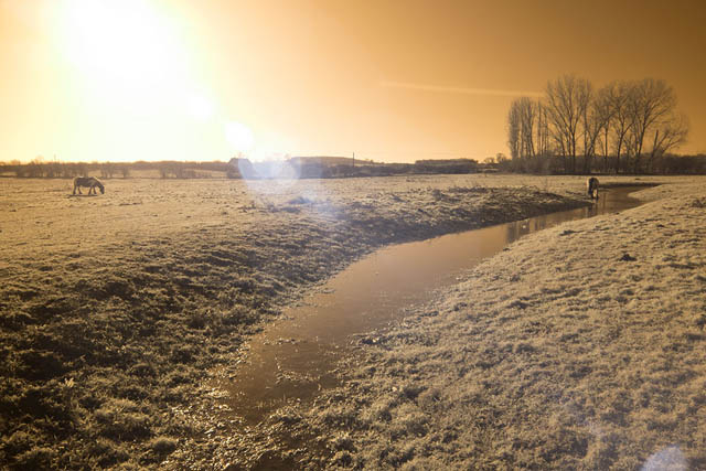 Photo showing lens flare when shooting into the sun with Zomei 680nm filter