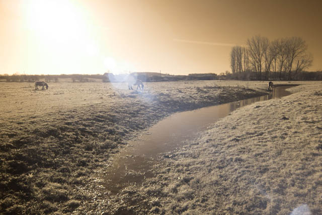 Photo showing lens flare when shooting into the sun with Hitech resin filter