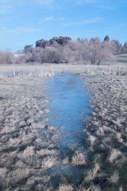 Photo of a frozen puddle in a field taken with a full spectrum converted camera and no filter