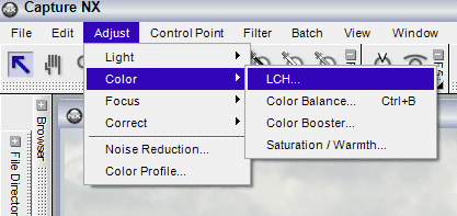 Adjust > Color menu flyout in Capture NX